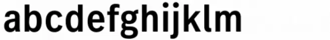 FF Real Text Condensed Medium