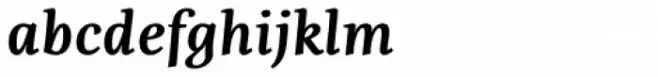 Fiesole Caption Heavy Italic