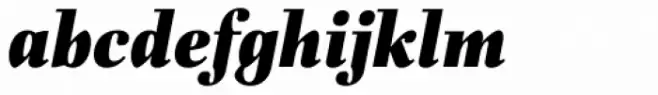 Fiorina Subhead Black Italic