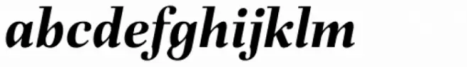 Fiorina Subhead Bold Italic