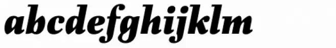 Fiorina Text Black Italic