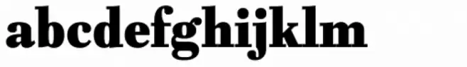 Fiorina Text Black