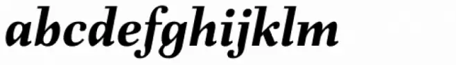 Fiorina Text Bold Italic