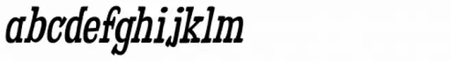 Fleabitten Italic