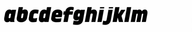Fonzie Black Italic