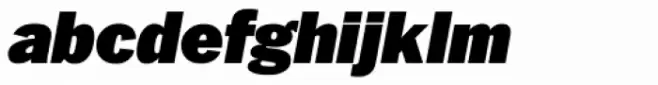 Franklin Pro Ultra Italic