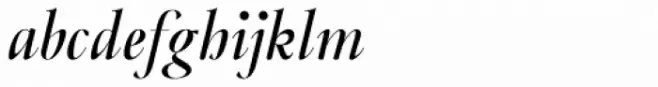 Frenchute High Book Italic