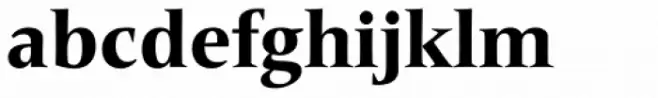 Frutiger Serif Pro Heavy