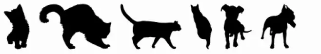 Furry
