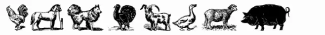 Gans Animals