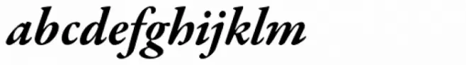 Garamond Premr Pro Bold Italic