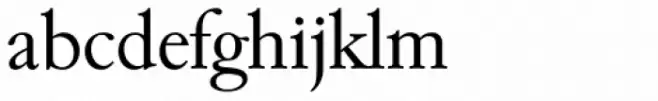 Garamond Serial Light