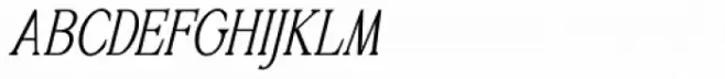 Golden Signer Serif Italic