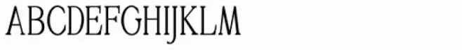 Golden Signer Serif