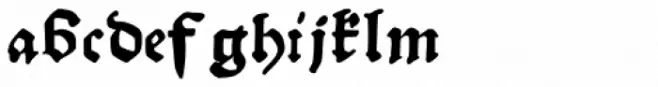Gutknecht Bold