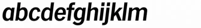 Hamburg Serial Bold Italic