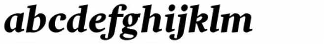 Harfang Black Italic