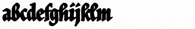 Herb Condensed Bold
