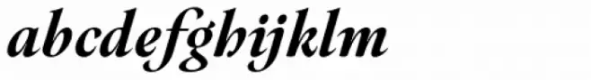 Hermann Heavy Italic
