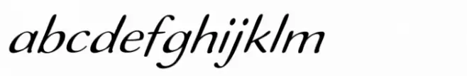 Ilbit Expanded Italic
