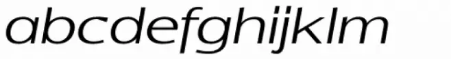 Indecise Semi Expanded Light Italic