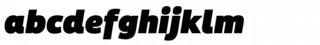 Isard Black Italic