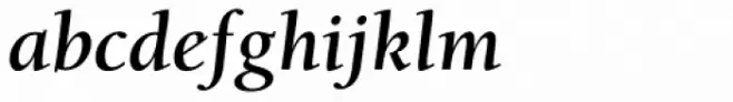 ITC Berkeley Old Style Std Bold Italic