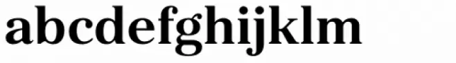 Kostic Serif Bold