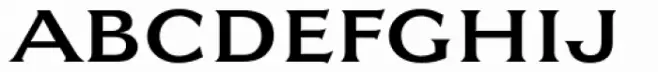 Largo BEF Medium