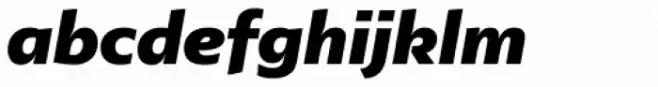 Lexis Black Italic