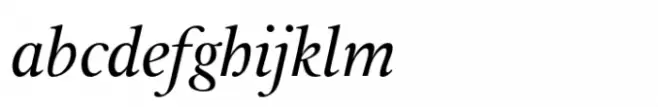 Leyden Italic