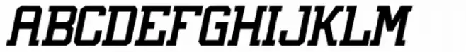 Lifeguard 77 Bold Oblique