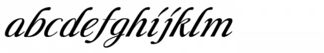 Liliane Classe Medium Italic
