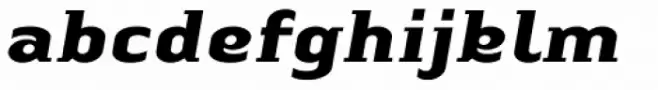 Linotype Authentic Small Serif Std Bold Italic