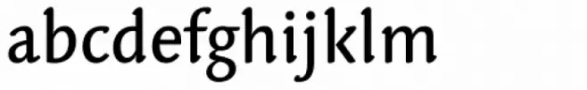 Linotype Syntax Letter Medium