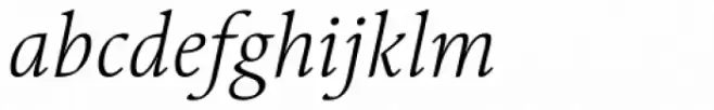 Linotype Syntax Serif Light Italic