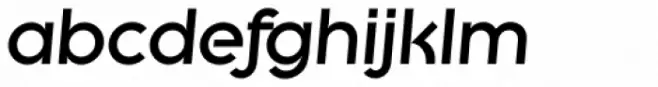 Litera Serial Heavy Italic