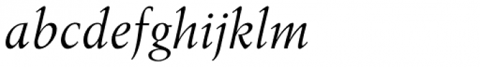 Literatura Pro Book Italic
