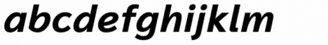 Magnum Sans Pro Bold Italic