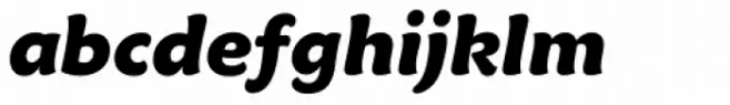 Maiandra GD Pro Black Italic