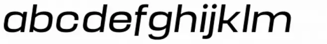 Manual Light Italic