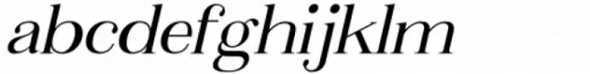 Metafiz Italic