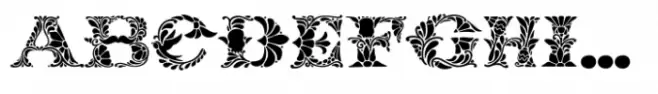 Mexican Pattern Colored