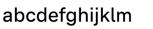 Monto Grotesk Book