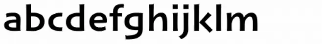 Nami Std Bold