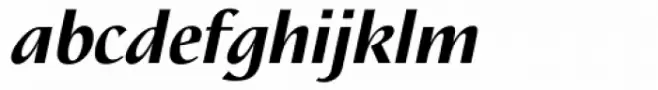 Nautilus Black Italic