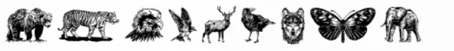 Neilvard Illustration