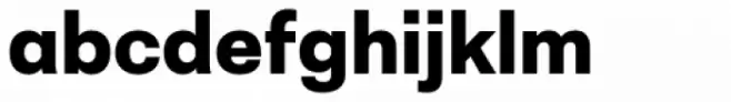 Neogrotesk Essential Alt Black