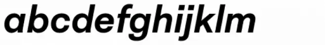 Neogrotesk Essential Alt Bold Italic