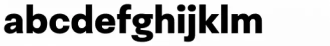 Neogrotesk Essential Black